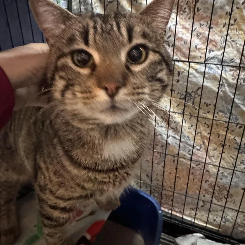 Miles Mclean thumbnail 3