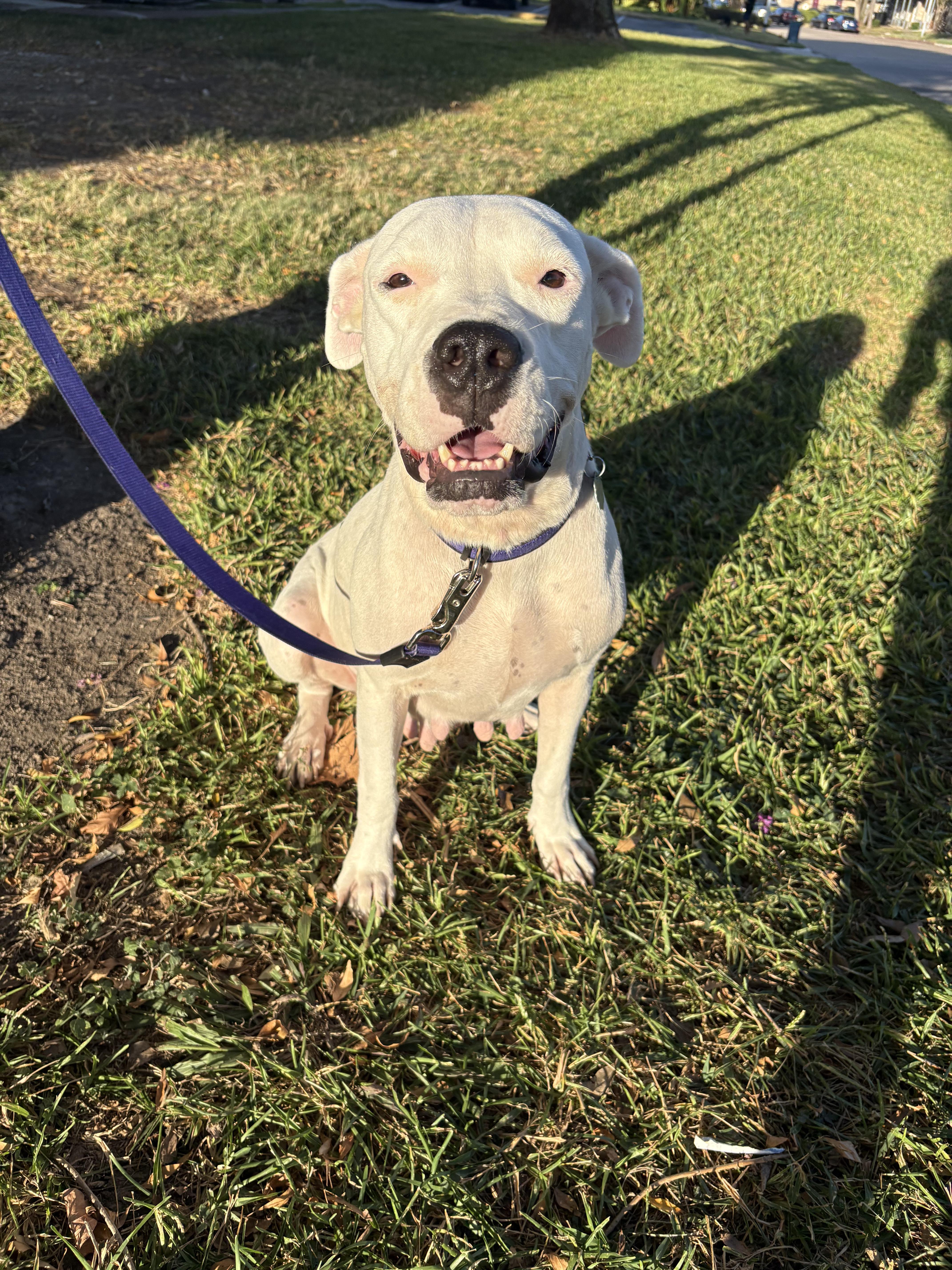 Georgia Peach thumbnail 2