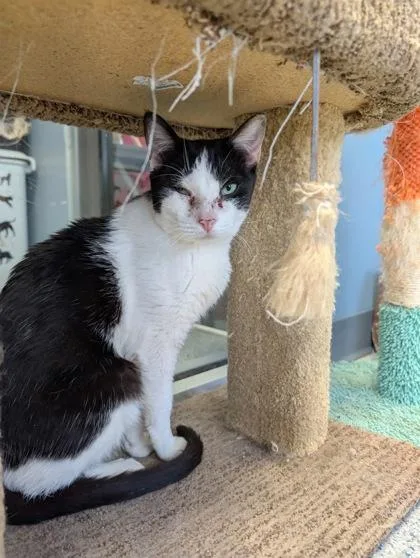 Francesca thumbnail 2