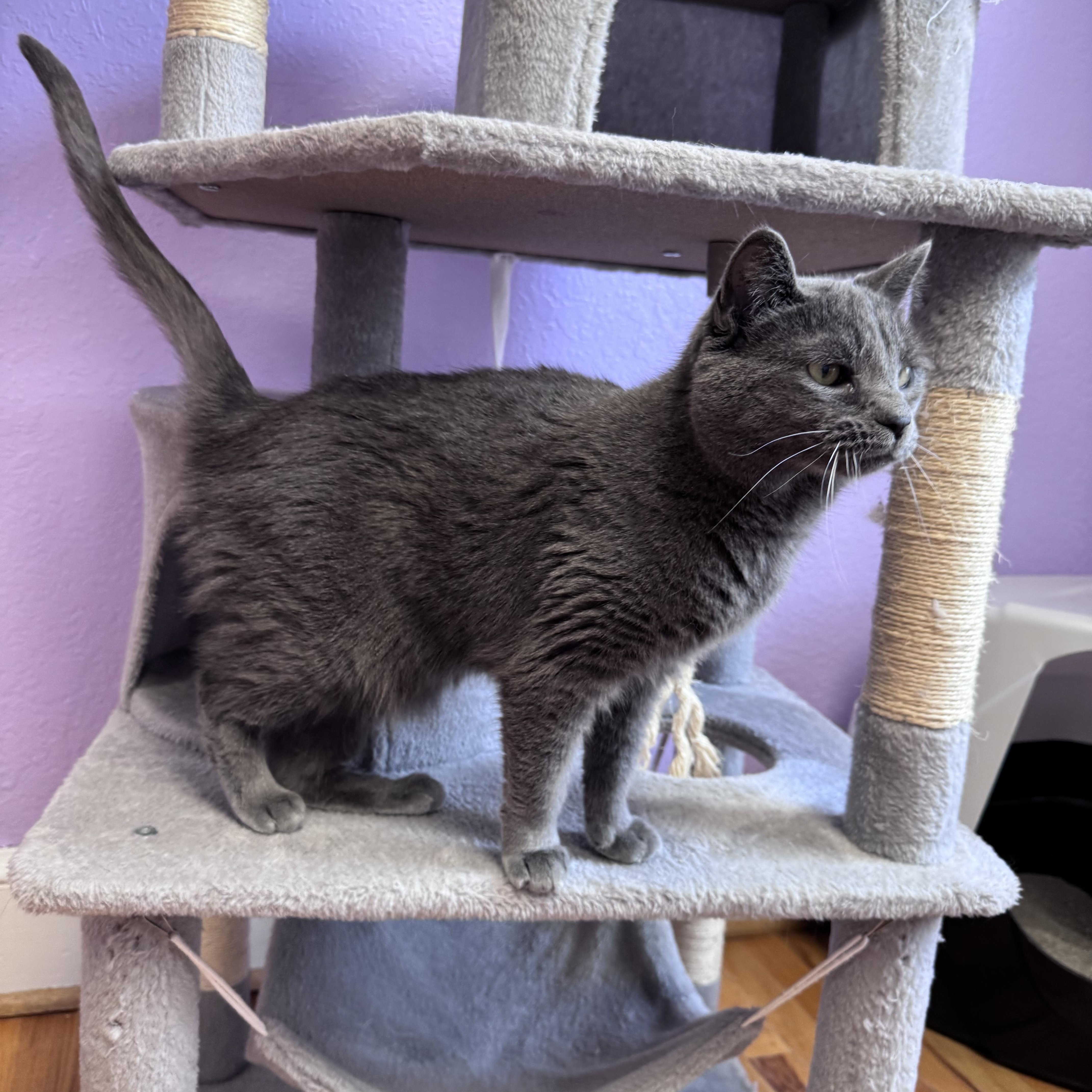 Bentley & Bentley Brothersister thumbnail 3