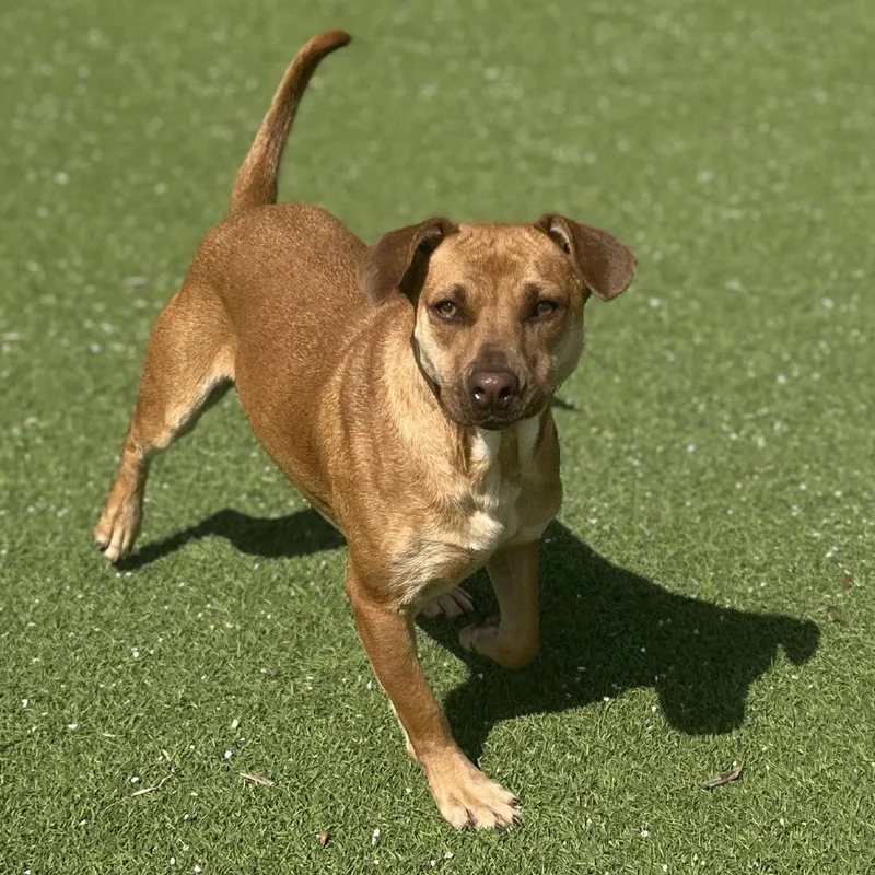 Audrey Hepburn thumbnail 3