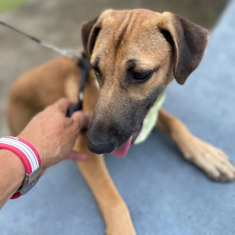 Archie "today Is Our thumbnail 2