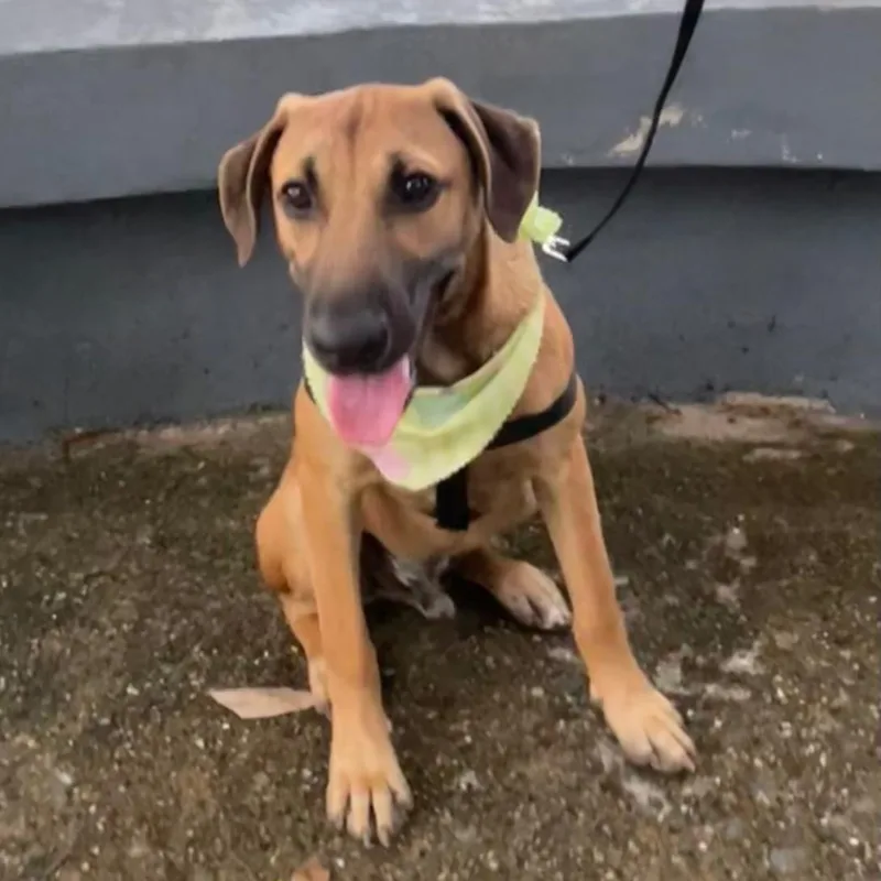 Archie "today Is Our thumbnail 3