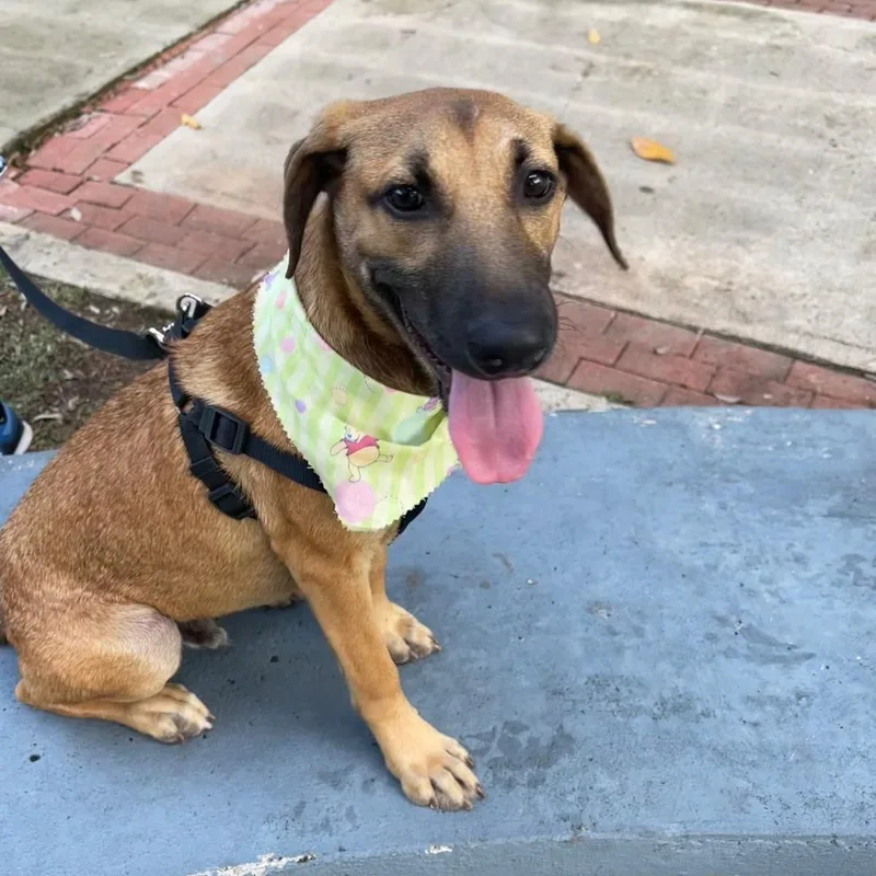 Archie "today Is Our thumbnail 4