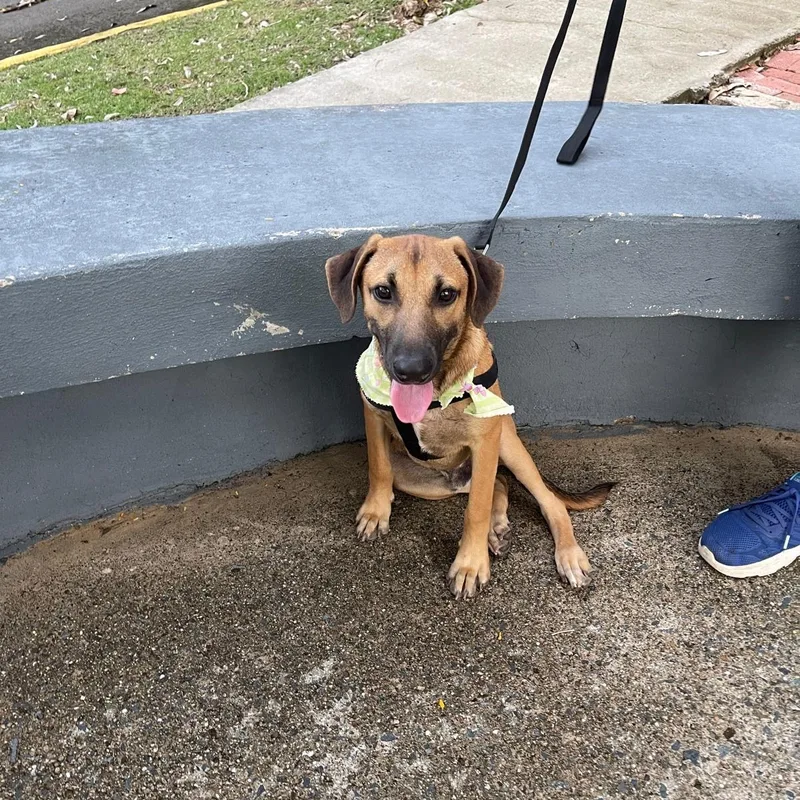 Archie "today Is Our thumbnail 5