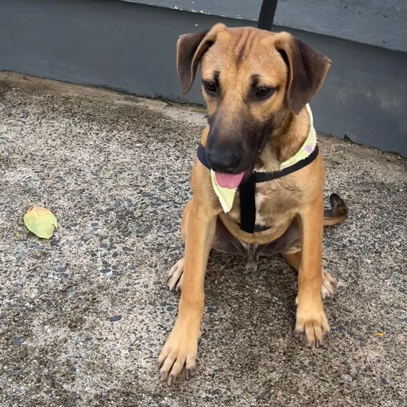 Archie "today Is Our thumbnail 6