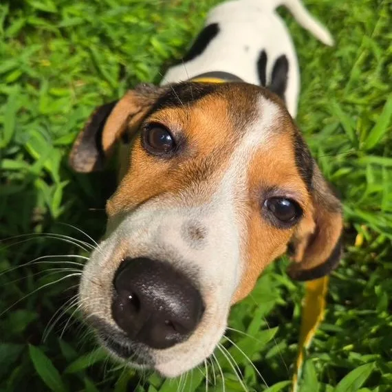Mitzi