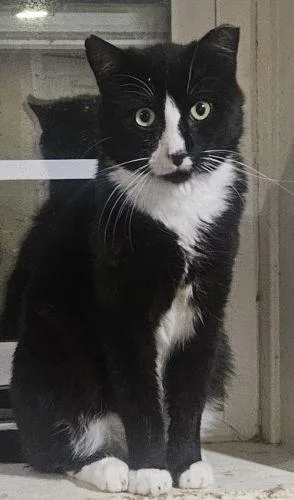 Vader