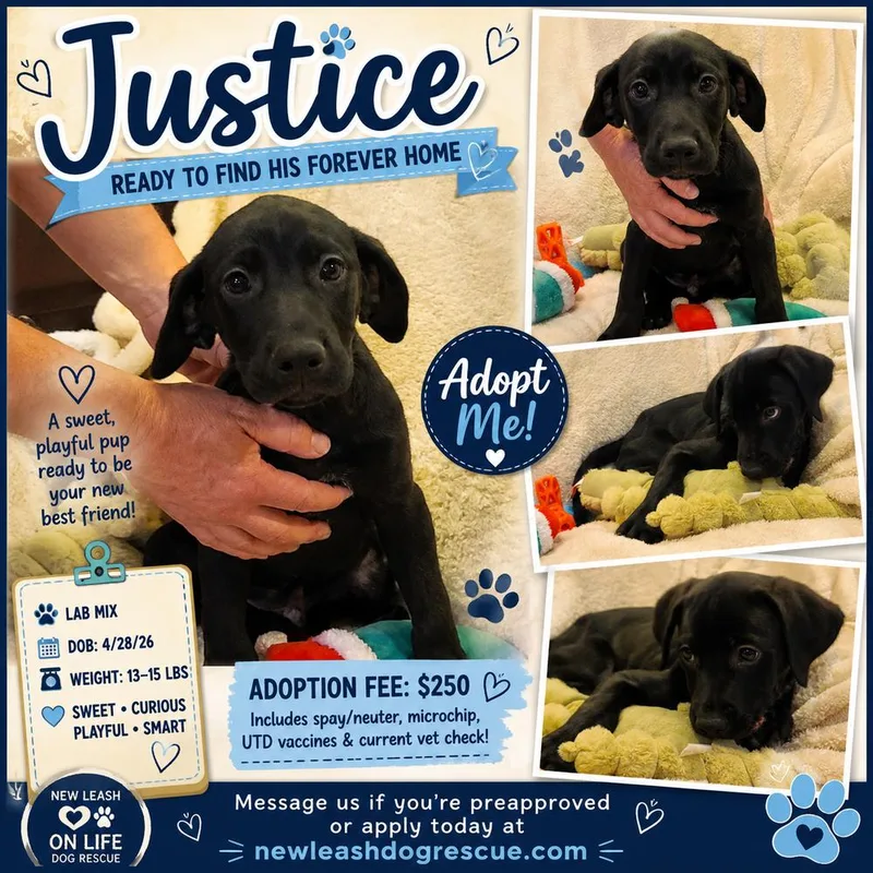 Justice