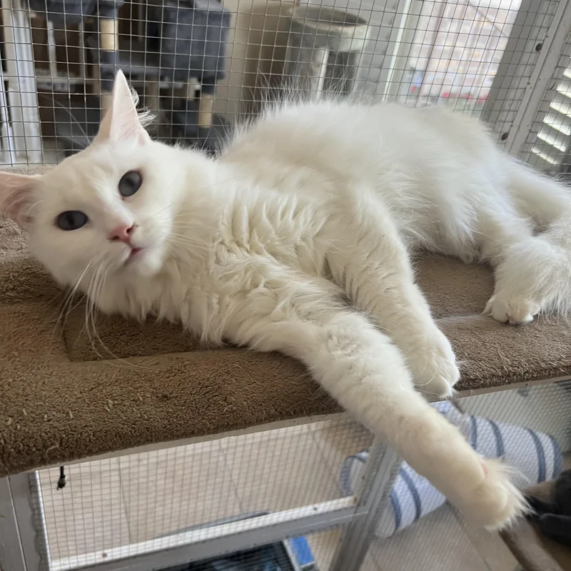 Lover Girl Mellisa’s thumbnail 2