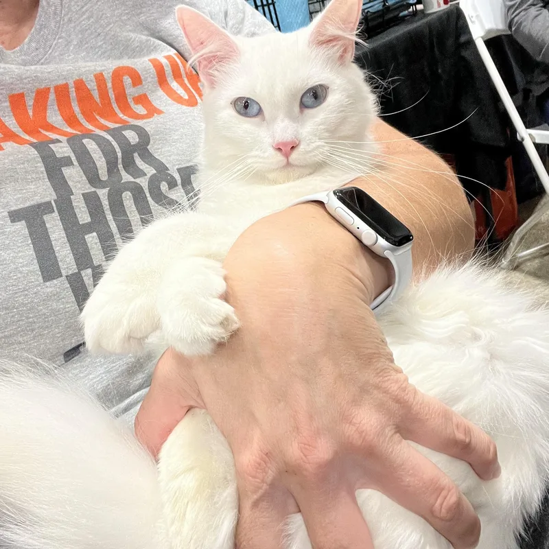 Lover Girl Mellisa’s