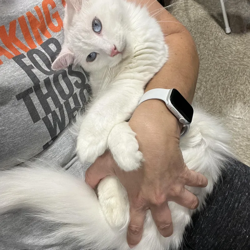 Lover Girl Mellisa’s thumbnail 3