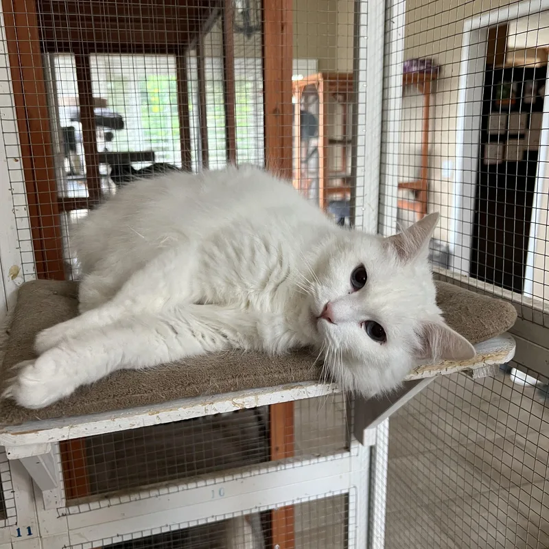 Lover Girl Mellisa’s thumbnail 4