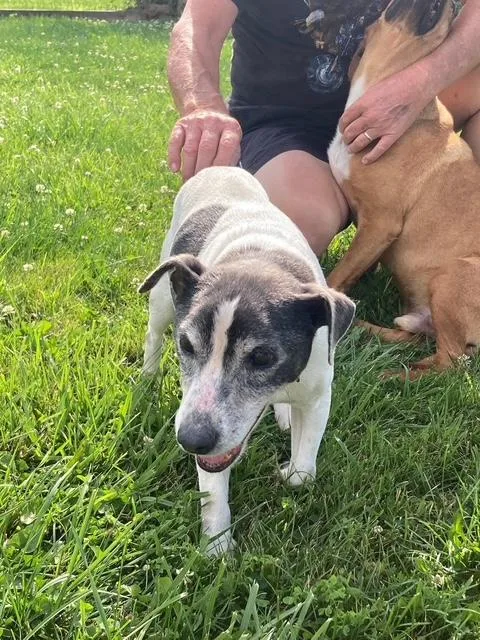 Archie