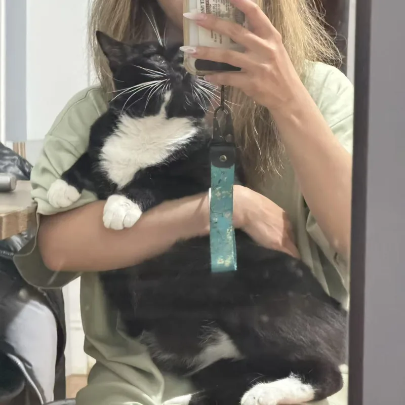 Oreo thumbnail 3
