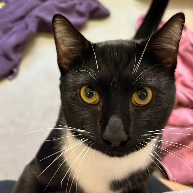 Ernie thumbnail 5