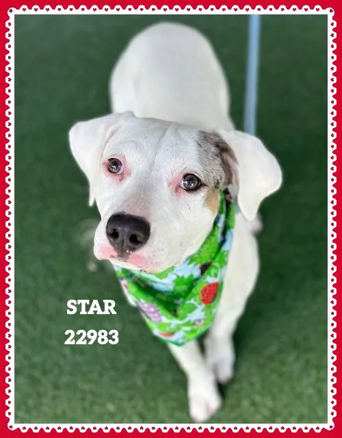 Star thumbnail 3