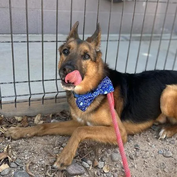 Duke