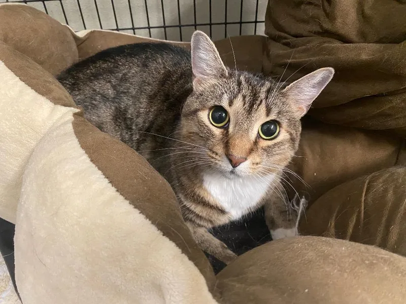 I Can't Believe It's thumbnail 3