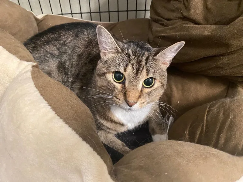 I Can't Believe It's thumbnail 4