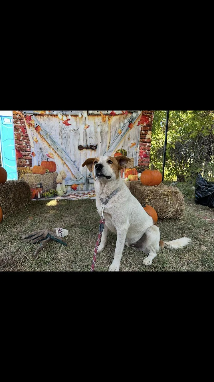 Buster thumbnail 2