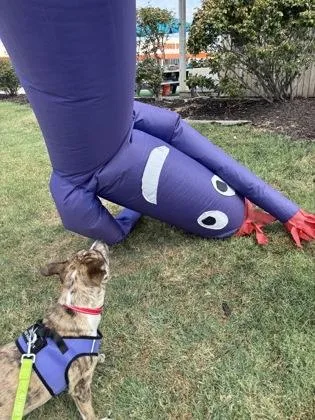 Wacky Inflatable Tube Man thumbnail 3