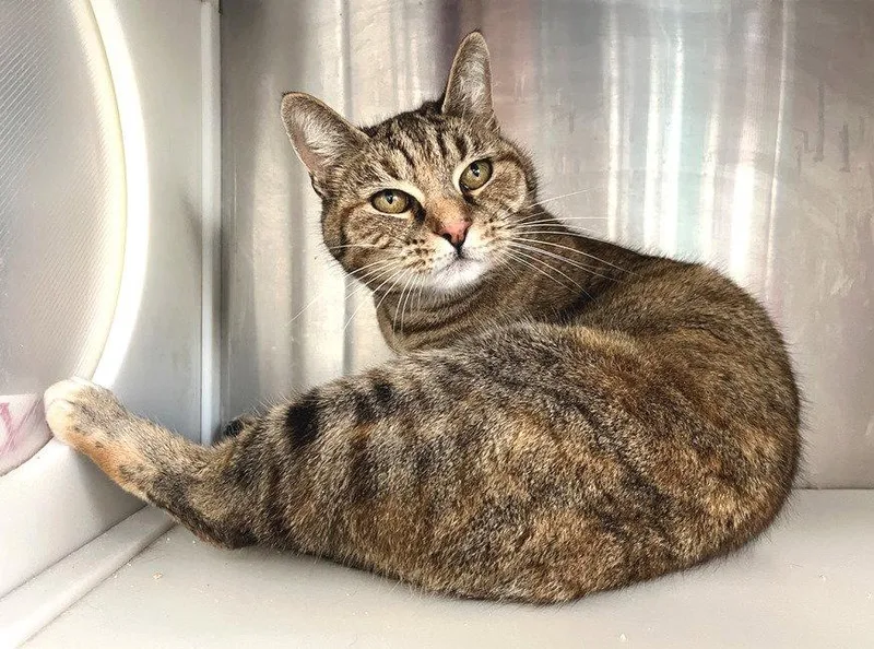 Isabelle thumbnail 3