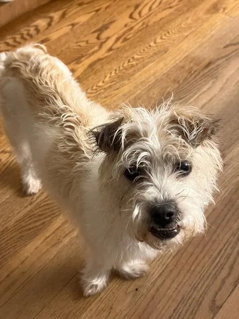 Coco thumbnail 3