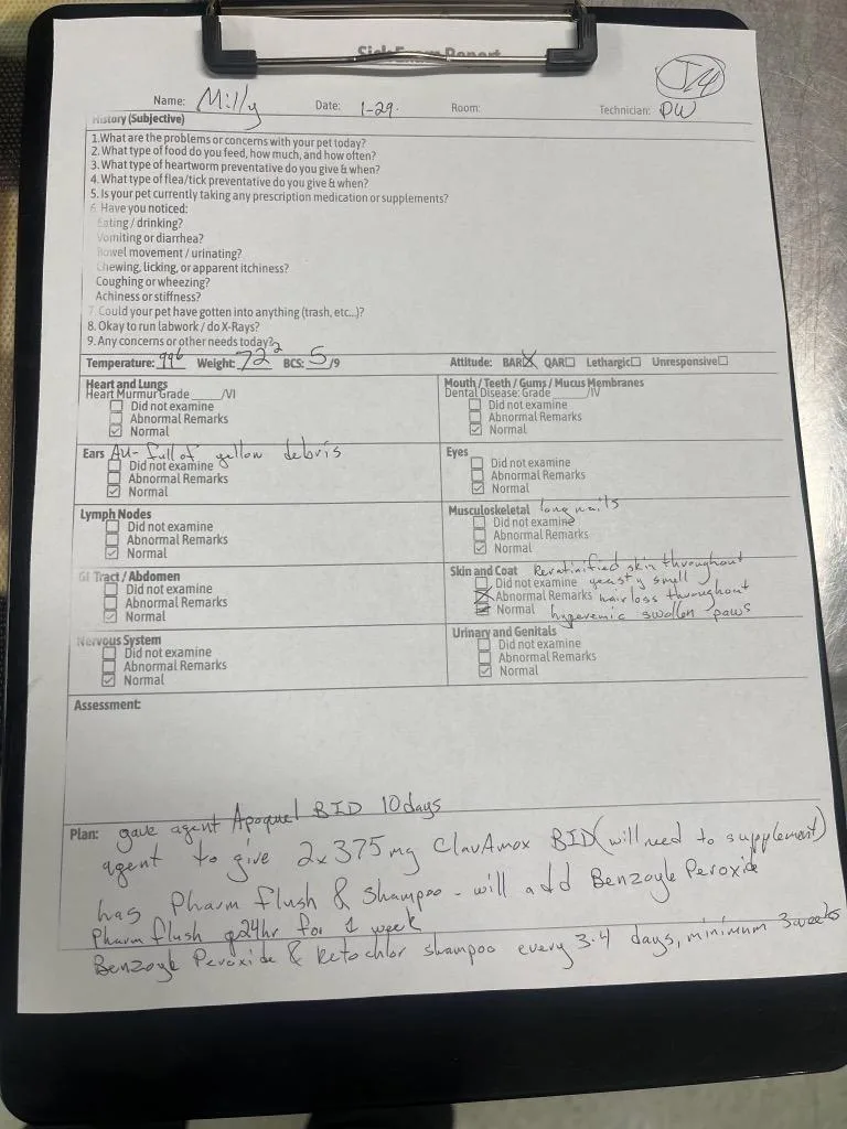 Janemille thumbnail 2