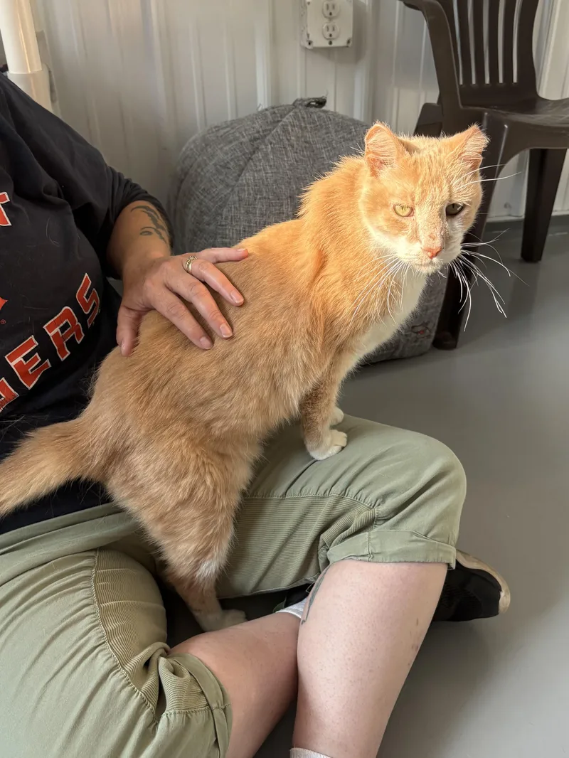 Nacho thumbnail 2
