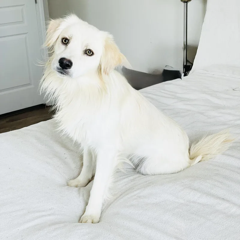 Gorgeous Finnegan thumbnail 2