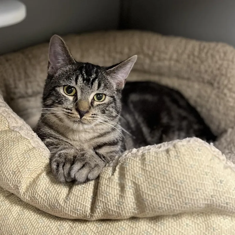 Pretty Boy thumbnail 2