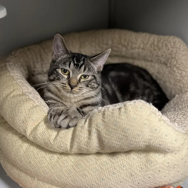 Pretty Boy thumbnail 3