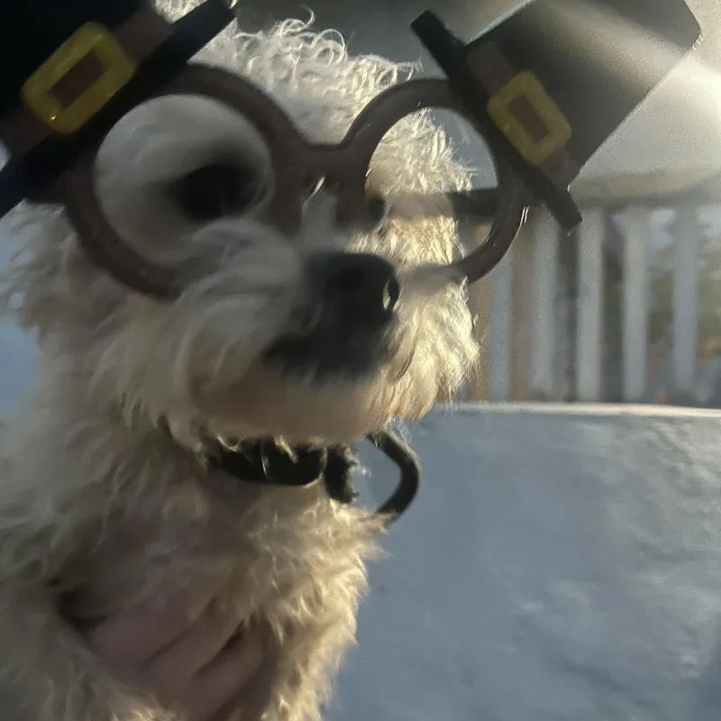 Christopher Robin thumbnail 4