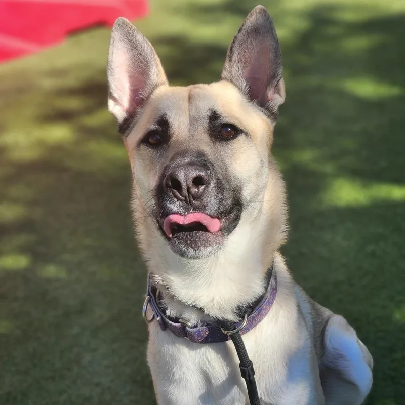 Christopher thumbnail 2