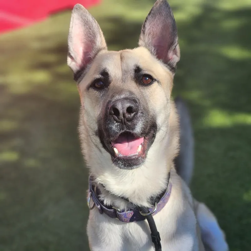 Christopher thumbnail 3