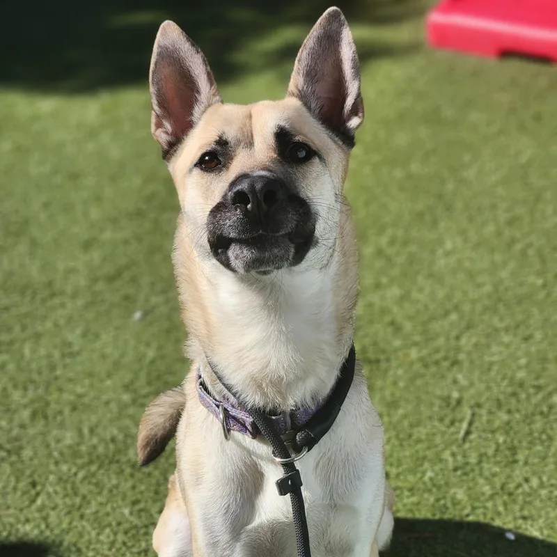 Christopher thumbnail 4