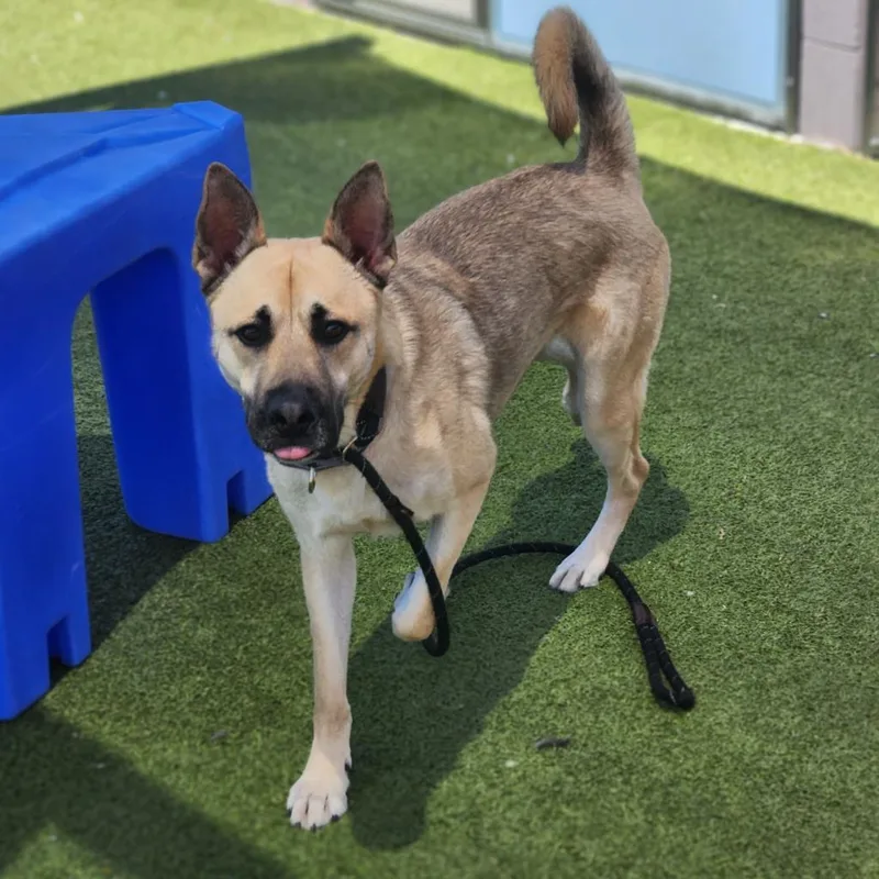 Christopher thumbnail 6