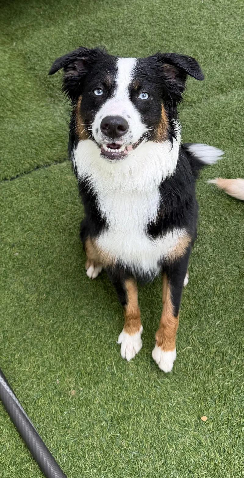 Benny