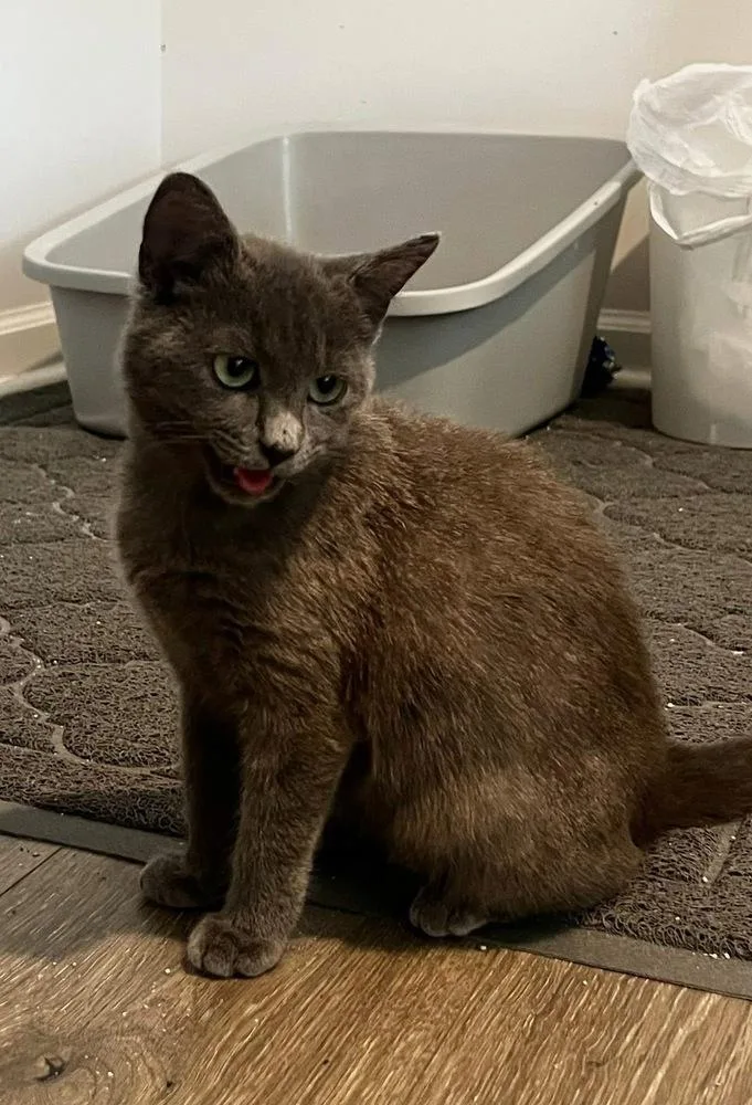 Hazelbonded With Maggie thumbnail 2