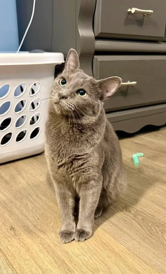 Hazelbonded With Maggie thumbnail 3