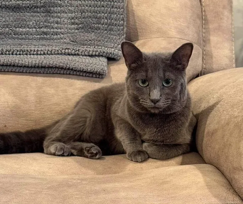 Hazelbonded With Maggie thumbnail 4