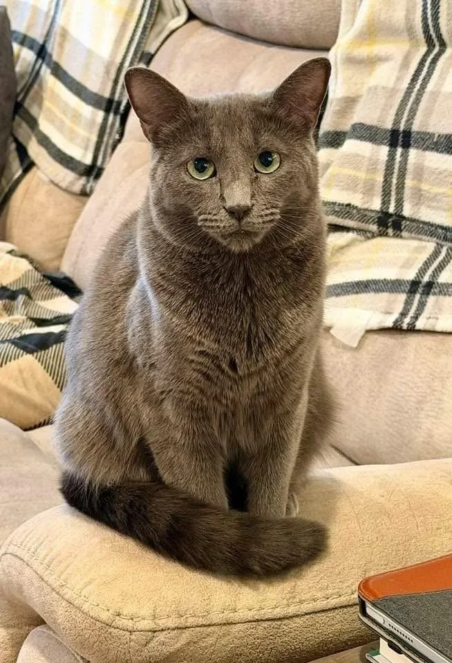 Hazelbonded With Maggie thumbnail 5