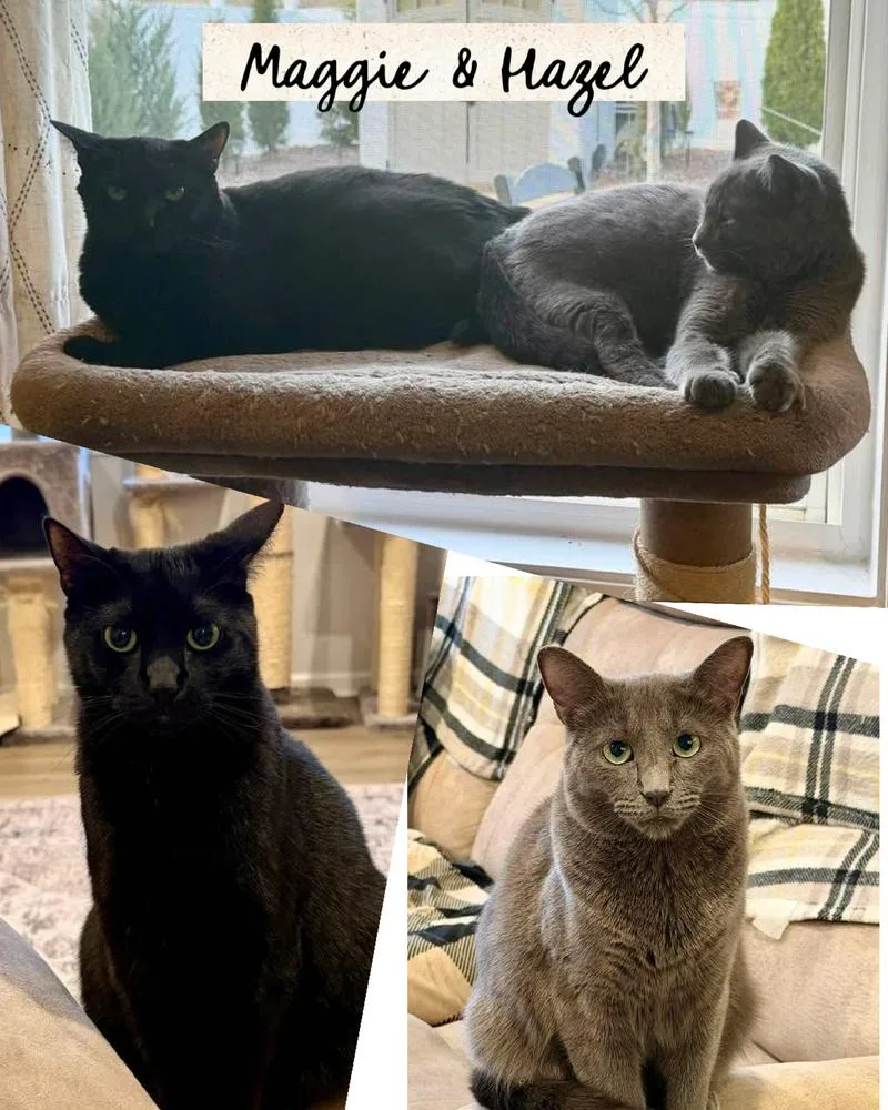 Hazelbonded With Maggie thumbnail 6