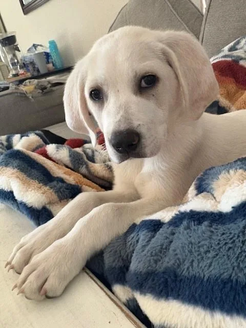 Three Amigos: Grady thumbnail 3