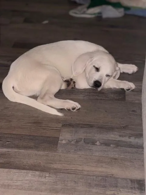 Three Amigos: Grady thumbnail 4