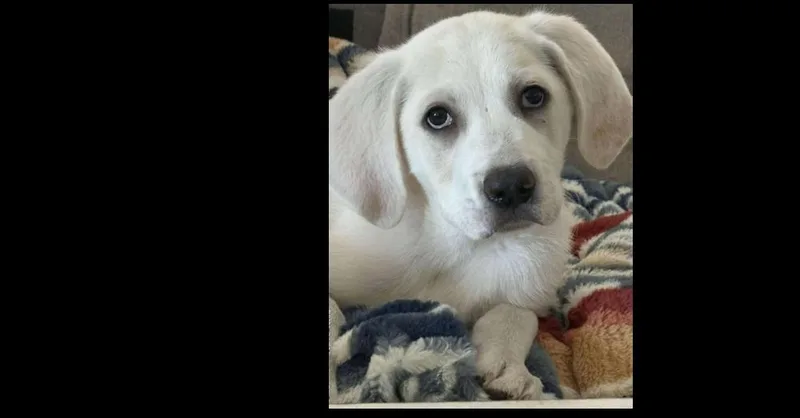 Three Amigos: Grady thumbnail 6