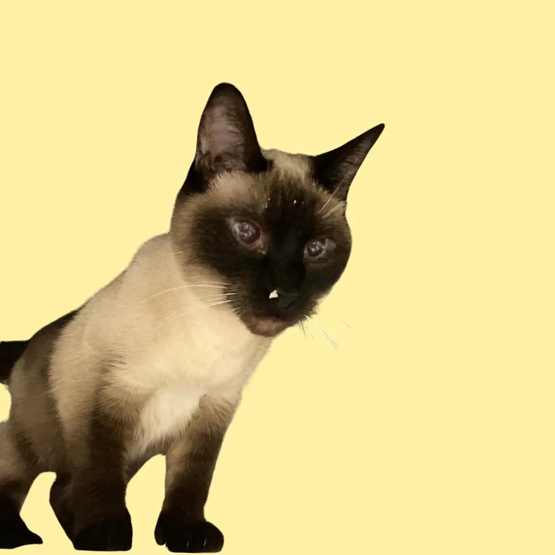 Baby thumbnail 2