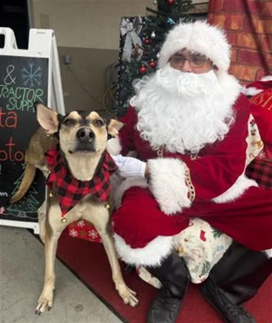 Buster  Longtime Resident!