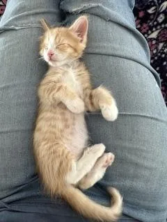 Buster thumbnail 2